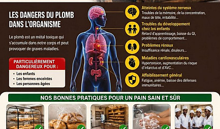 LE PLOMB DANS NOS ALIMENTS : UN DANGER INVISIBLE POUR NOTRE SANTÉ